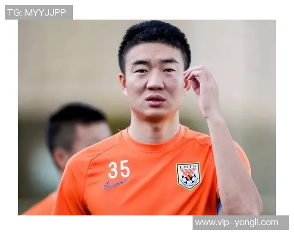 李平康呼吁债权人加入维权群体共同追讨戴琳未还款项